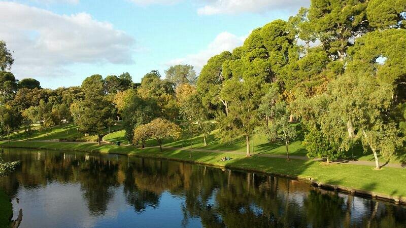 NDIS plan management support in Holden Hill
