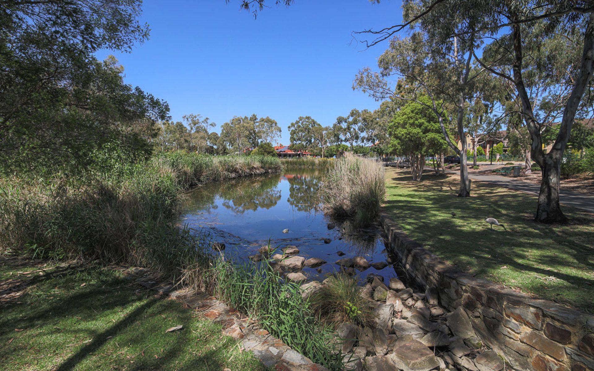 NDIS plan management support in Oakden